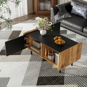 Table basse bois noir design rangement